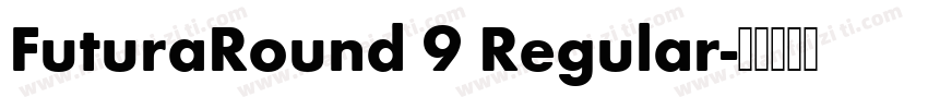 FuturaRound 9 Regular字体转换